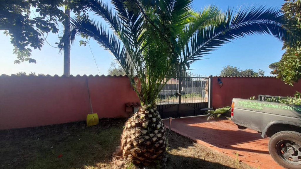 PALME