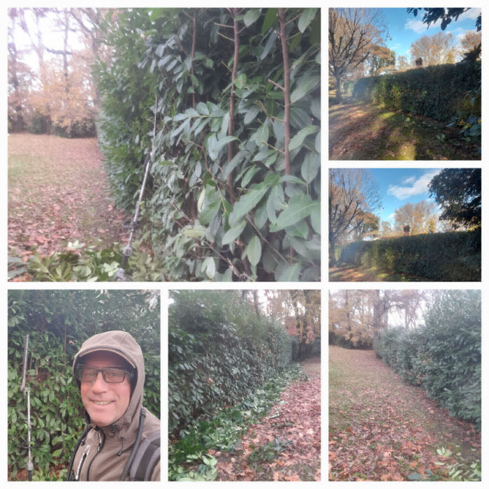 Giardiniere Roma Nord - Taglio siepe lunghi metraggi