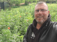 Giardiniere Roma Nord Formello